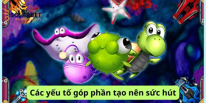 Các yếu tố tạo sức hút