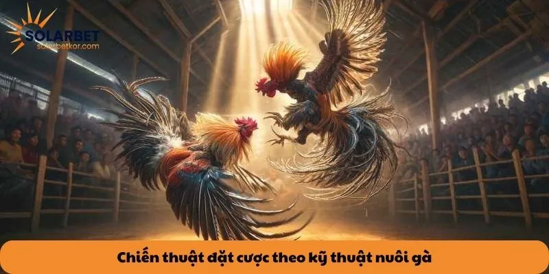 Chiến thuật đặt cược theo kỹ thuật nuôi gà