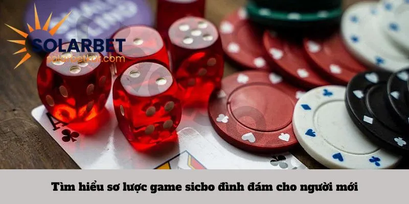 Tìm hiểu sơ lược game sicbo đình đám cho người mới