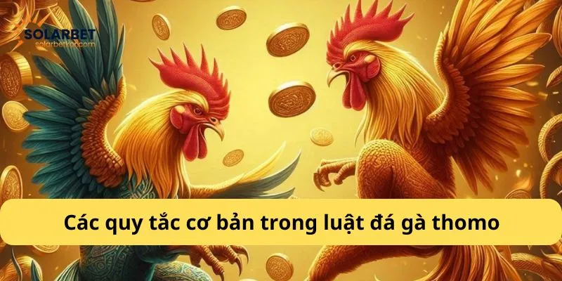 Các quy tắc cơ bản trong luật đá gà thomo